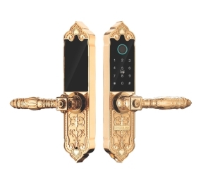 Khóa cửa thông minh Kassler KL-919 APP - Hàng chính hãng