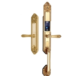 Khóa cửa vân tay đại sảnh Kassler KL-979G - Hàng chính hãng