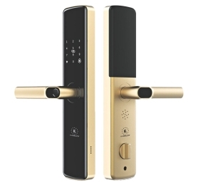 Khóa cửa vân tay Kassler KL-678 GOLD - Hàng chính hãng