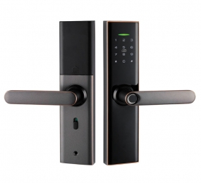 Khóa điện tử thông minh Demax SL266 - Hàng chính hãng