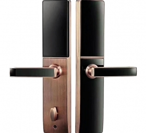 Khóa điện tử thông minh Demax SL621 - Hàng chính hãng