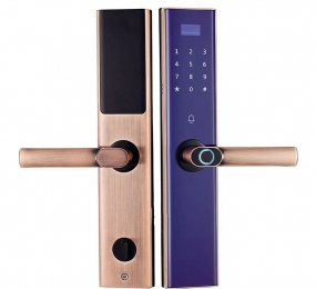 Khóa điện tử thông minh Demax SL650 - Hàng chính hãng