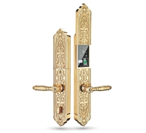 Khóa vân tay đại sảnh Kassler KL-929 APP - Hàng chính hãng