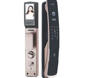 Khóa vân tay nhận diện khuôn mặt Face ID Kassler KL-878F APP - Hàng chính hãng