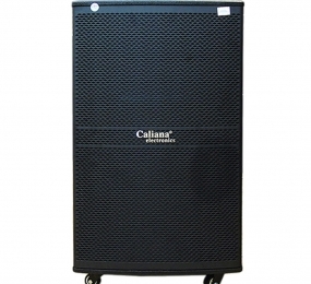 Loa di động Caliana WD-15A - Hàng chính hãng