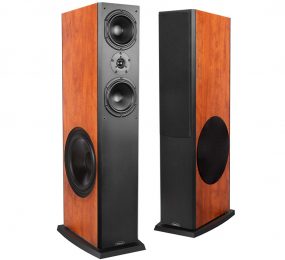 Loa đứng Paramax Platinum D-88 - Hàng chính hãng