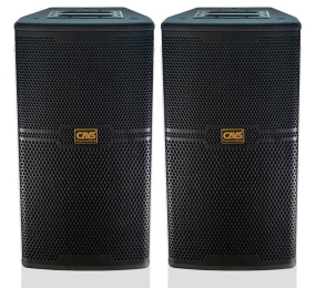 Loa karaoke CAVS CS-301E - Hàng chính hãng