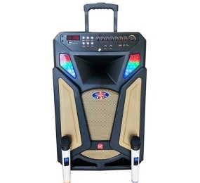 Loa karaoke di động Ronamax U15A
