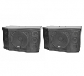 Loa karaoke Paramax PRO C-12 - Hàng chính hãng