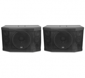 Loa karaoke Paramax PRO-C10 - Hàng chính hãng