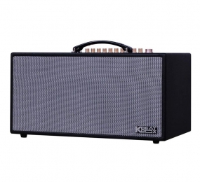 Loa karaoke xách tay Acnos CS450SRV - Hàng chính hãng