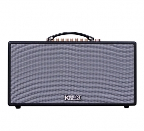 Loa karaoke xách tay Acnos CS688R - Hàng chính hãng