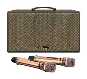 Loa karaoke xách tay Paramax AURA