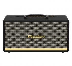 Loa karaoke xách tay Paramax Pasion 2 - Hàng chính hãng