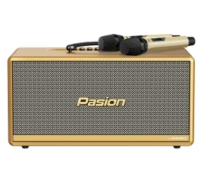 Loa karaoke xách tay Paramax Pasion 2C - Hàng chính hãng