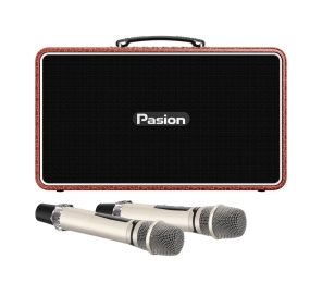 Loa karaoke xách tay Paramax Pasion Arte
