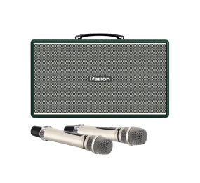 Loa karaoke xách tay Paramax Pasion Enzo