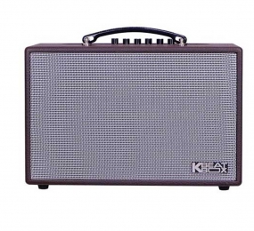 Loa kéo Acnos CS160 - Hàng chính hãng