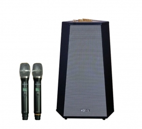 Loa kéo Acnos CS500 - Hàng chính hãng