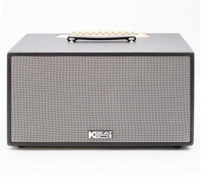 Loa xách tay Acnos NL446R - Hàng chính hãng