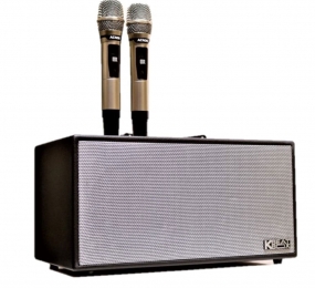 Loa xách tay Acnos NL4501 - Hàng chính hãng