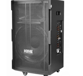 Loa kéo di động Acnos CB391G - Hàng chính hãng