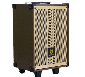 Loa kéo di động BestSound BD-9080 - Hàng chính hãng