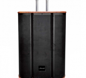 Loa kéo di động Microtek MTK 12-02 - Hàng chính hãng