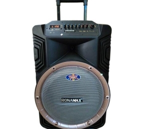 Loa kéo di động Ronamax B15A - Hàng chính hãng