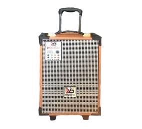 Loa kéo di động Ruby R31 - Hàng chính hãng