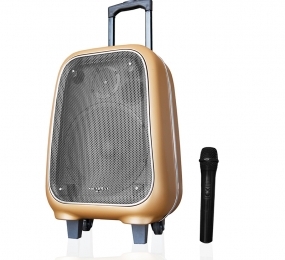 Loa kéo di động SoundMax M-6 - Hàng chính hãng