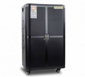 Loa kéo di động Temeisheng GD15-15