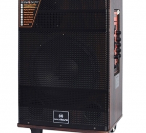 Loa kéo karaoke Maxxsound MAX10