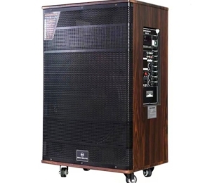 Loa kéo karaoke Maxxsound MAX15A