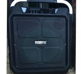 Loa kéo Temeisheng SL12-10 - Hàng chính hãng