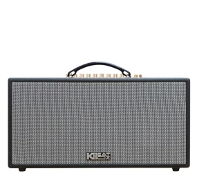 Loa xách tay Acnos CS450 NEO - Hàng chính hãng