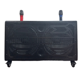 Loa xách tay bass đôi 30cm Karaoke Pro Audio DSP21