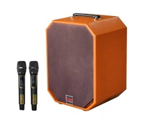 Loa xách tay di động Lovina KB209