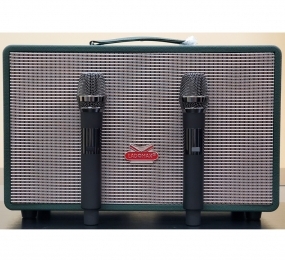 Loa xách tay Ladomax T-216  - Hàng chính hãng