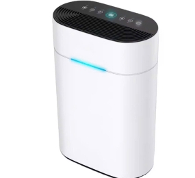 Máy hút ẩm Airplus  AP10-2016EE