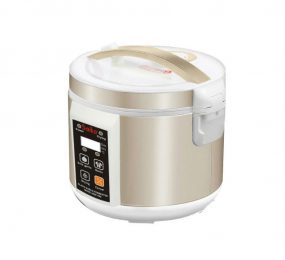 Máy làm tỏi đen Saiko BGF-900 - Hàng chính hãng