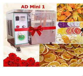 Máy sấy gia đình Ánh Dương AD Mini 1 – Inox - Hàng chính hãng