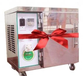 Máy sấy hoa quả Ánh Dương Mini 2 Inox - Hàng chính hãng