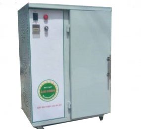 Máy sấy thực phẩm Ánh Dương AD Mini 2A - Hàng chính hãng