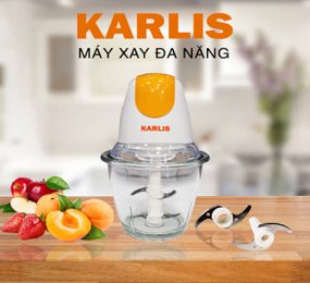 Máy xay thực phẩm Karlis AD-834G - Hàng chính hãng