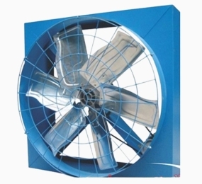 Quạt thông gió công nghiệp iFan 10C