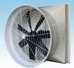 Quạt Thông Gió Dạng Loa Chuyển Động Gián Tiếp IFAN - Hàng chính hãng