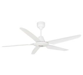 Quạt trần Rapido RCF-5W-P54