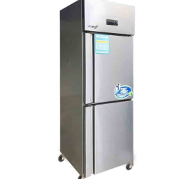 Tủ đông 2 cánh Snow Village SLLDZ4-538L - Hàng chính hãng