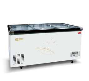 Tủ đông 858 lít Oucboll SD/SC-858 - Hàng chính hãng